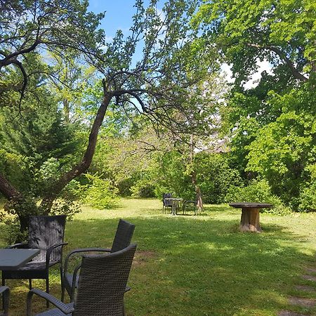 Pension Villa Inge Baden Eksteriør bilde