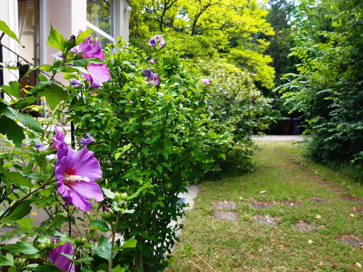 Pension Villa Inge Baden Eksteriør bilde